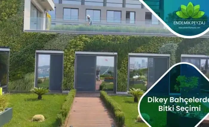 Apartman Kompleksi Gizliliği İçin Hızlı Büyüyen Ağaç ve Bitki Seçenekleri