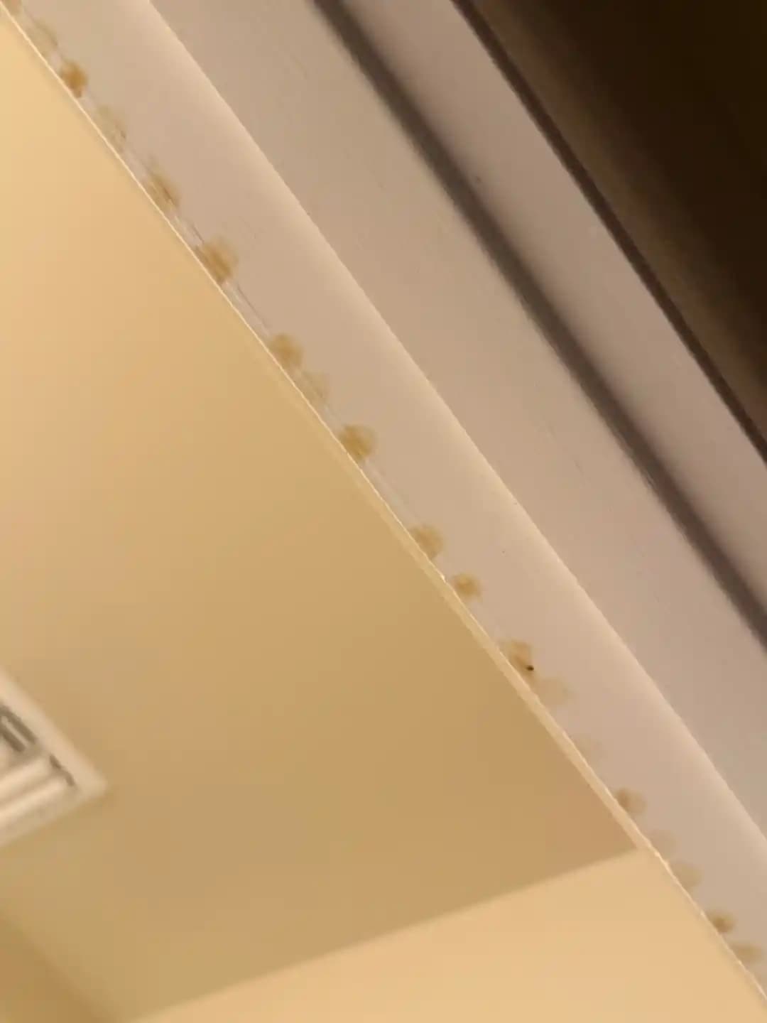 Banyo Duvarlarındaki Yapışkan Lekeler: Sigara Dumanı mı Su Hasarı mı?