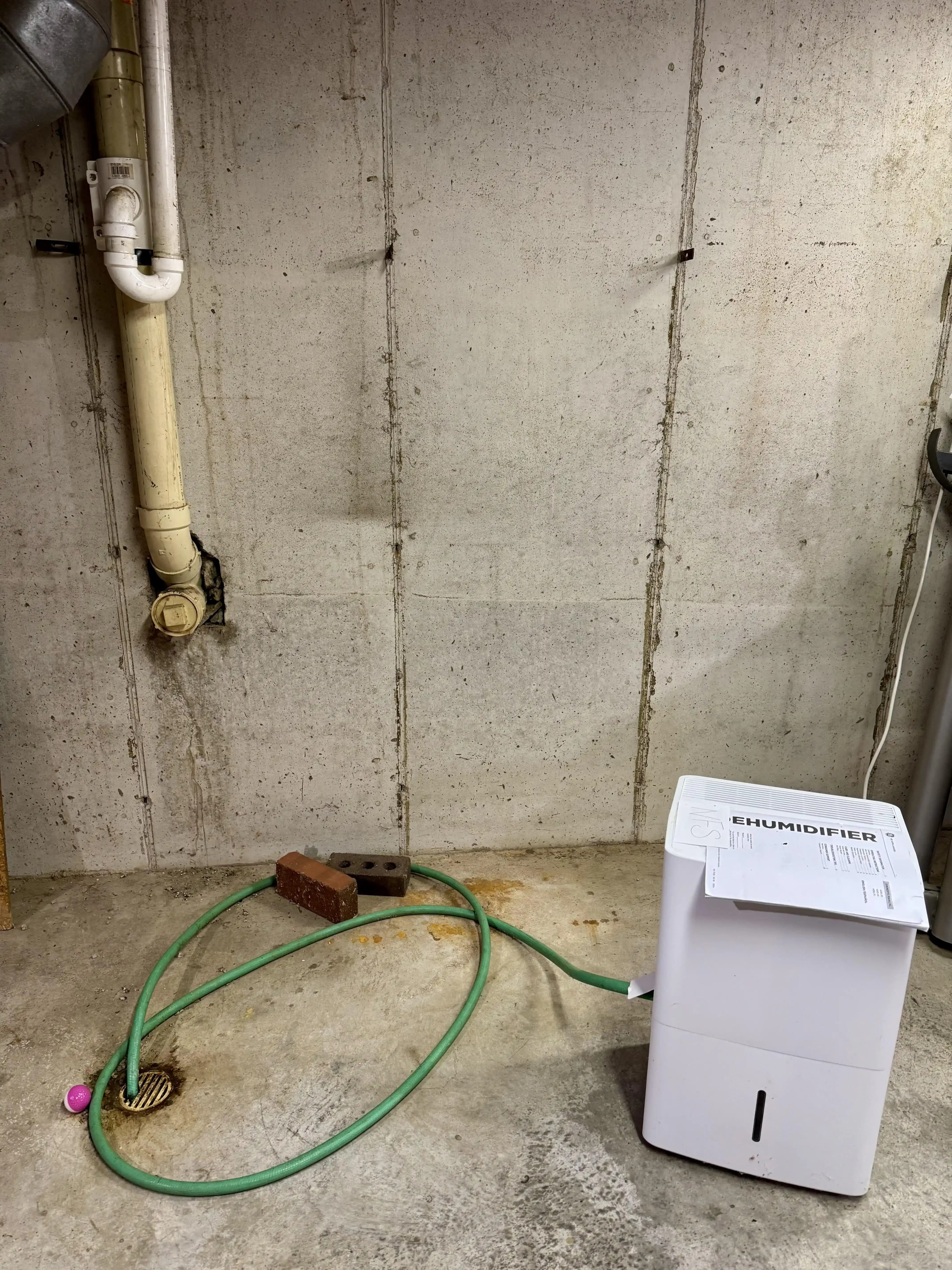 Bodrum Katı Drenajından Gelen İdrar Kokusu: Nedenleri ve Etkili Çözüm Yolları