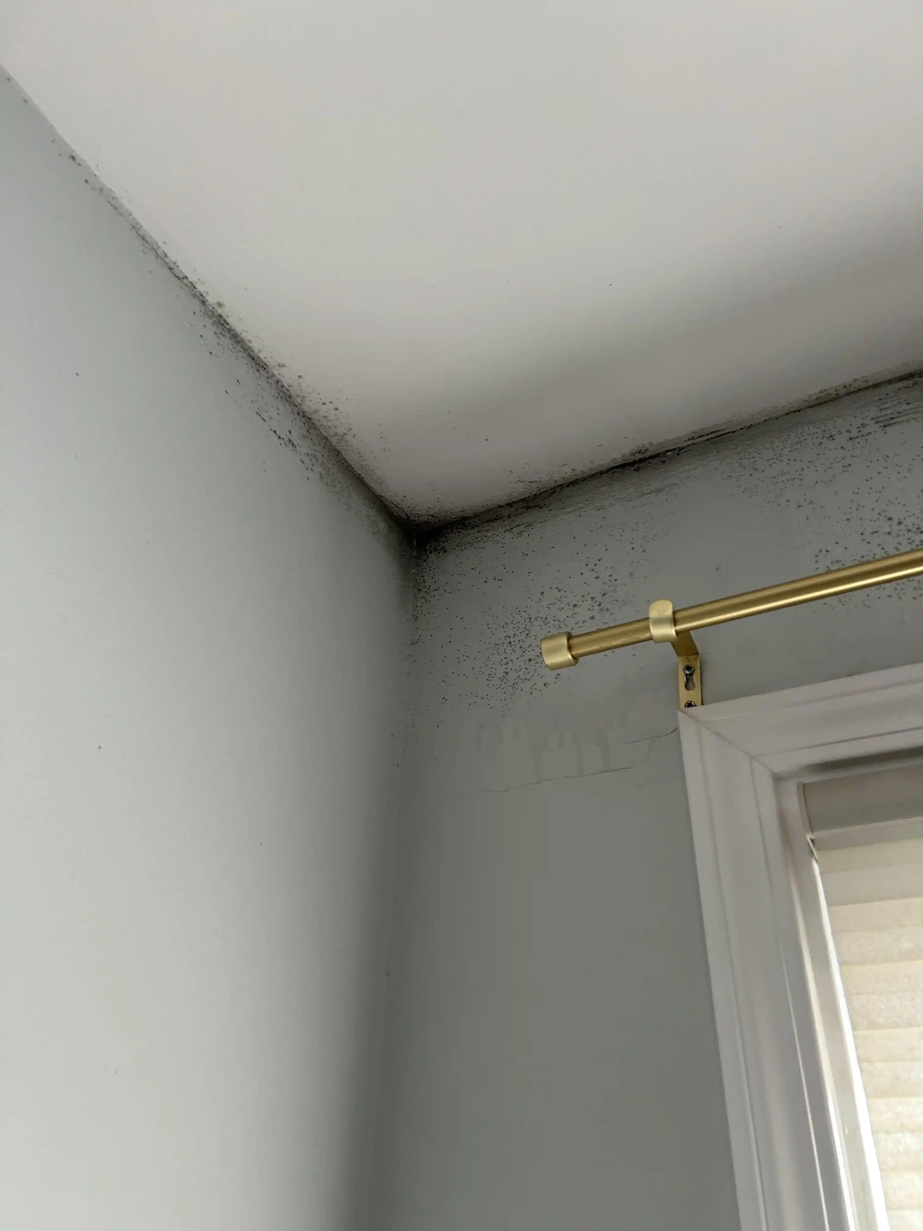 Çatı Sızıntısı ve İç Mekan Neminin Tavan ile Duvarlarda Oluşturduğu Siyah Lekeler