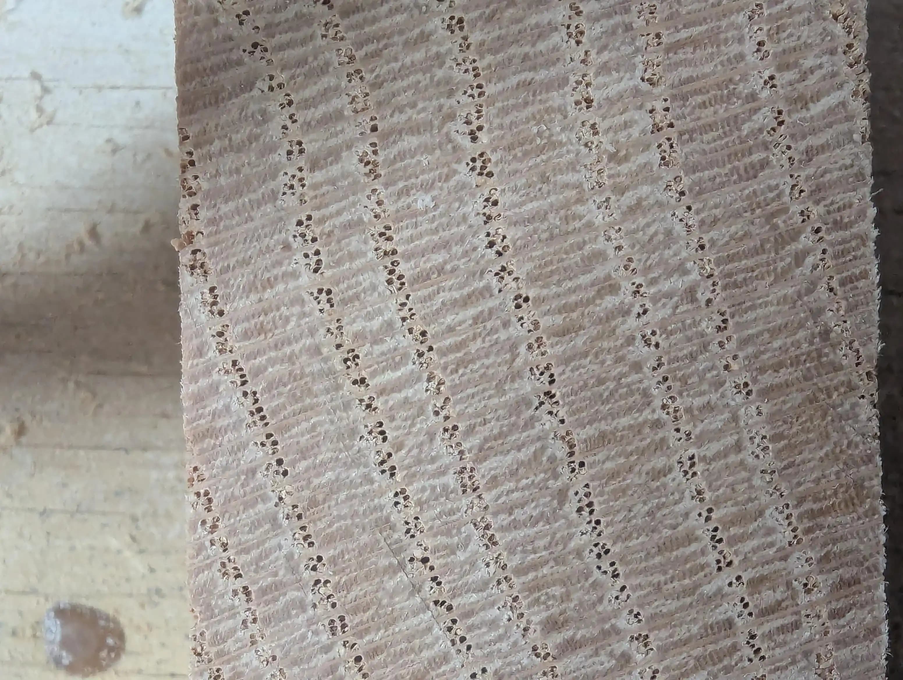 Kırmızı Meşe ve Kiraz Ağacı: Ahşap Türlerinin Özellikleri ve Kullanım Alanları