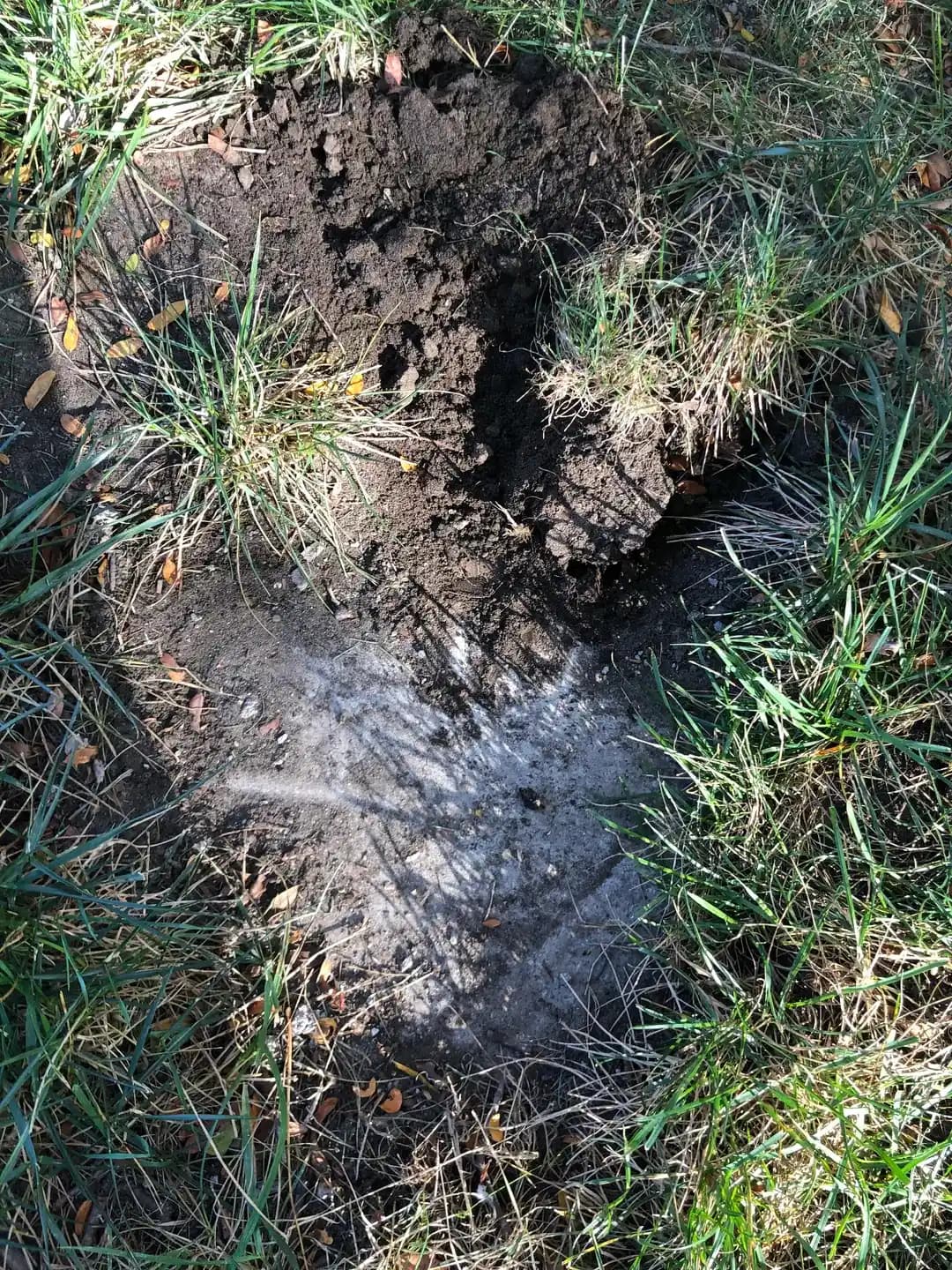 Michigan'daki Eski Ev Temelinin Yanındaki Gizemli Beton Yapının Olası Nedenleri ve İncelenmesi