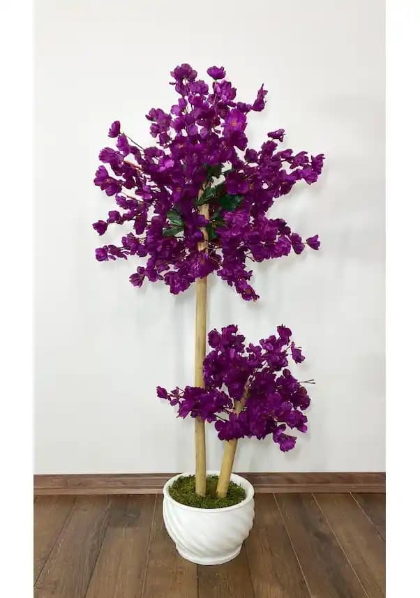 Mor Kalp Ağacının Mor Rengini Koruma Yöntemleri ve Bakım Teknikleri