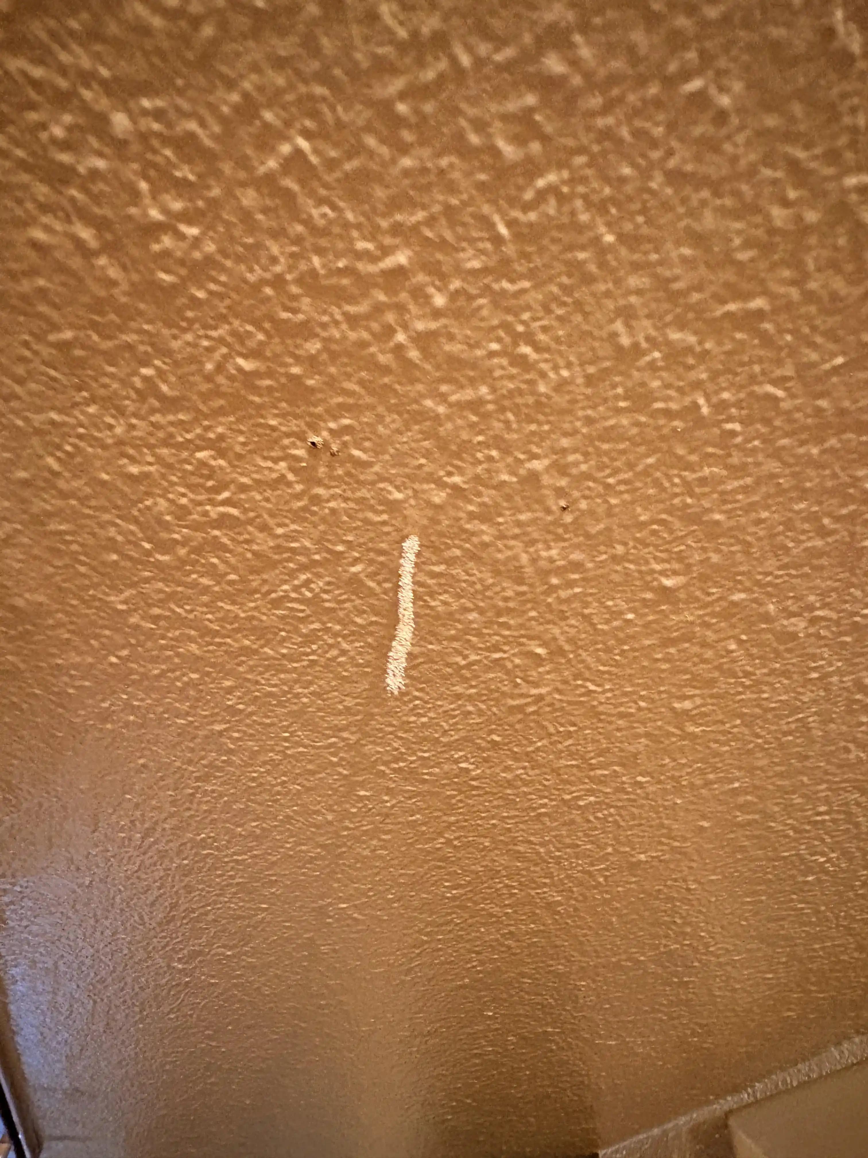 Phoenix Evlerinde Tavan Çıkıntıları ve Termit İstilası: Erken Belirtiler ve Mücadele Yöntemleri