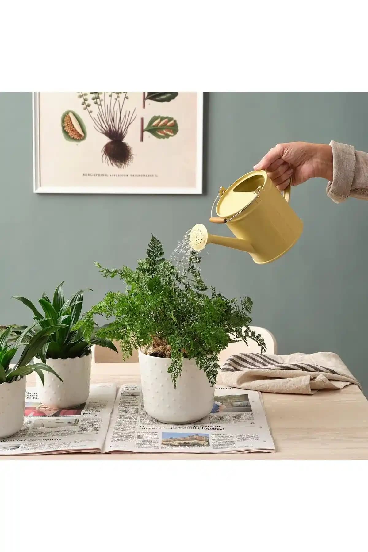 Alpha Surge: Erkeklerin Performansını Artıran Doğal ve FDA Onaylı Takviye Ürünü