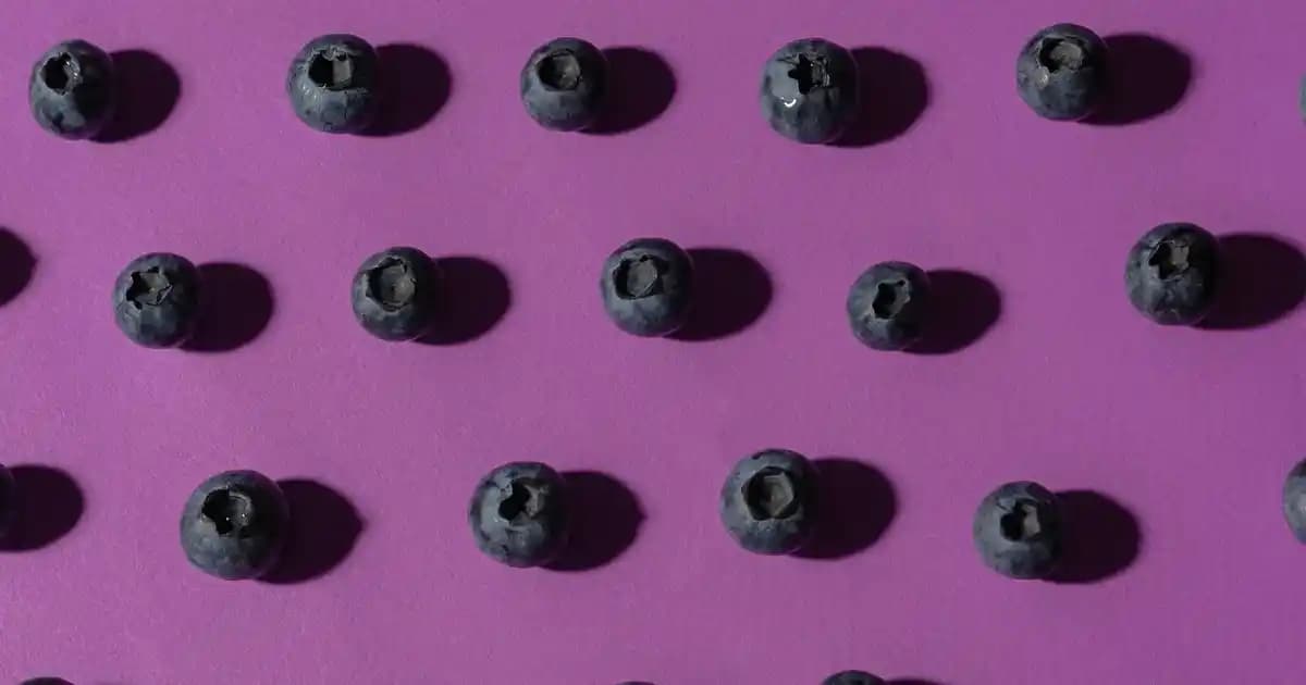 Bahçe Depo Evi Nedir ve Bahçeniz İçin En İyi Çözüm Seçenekleri