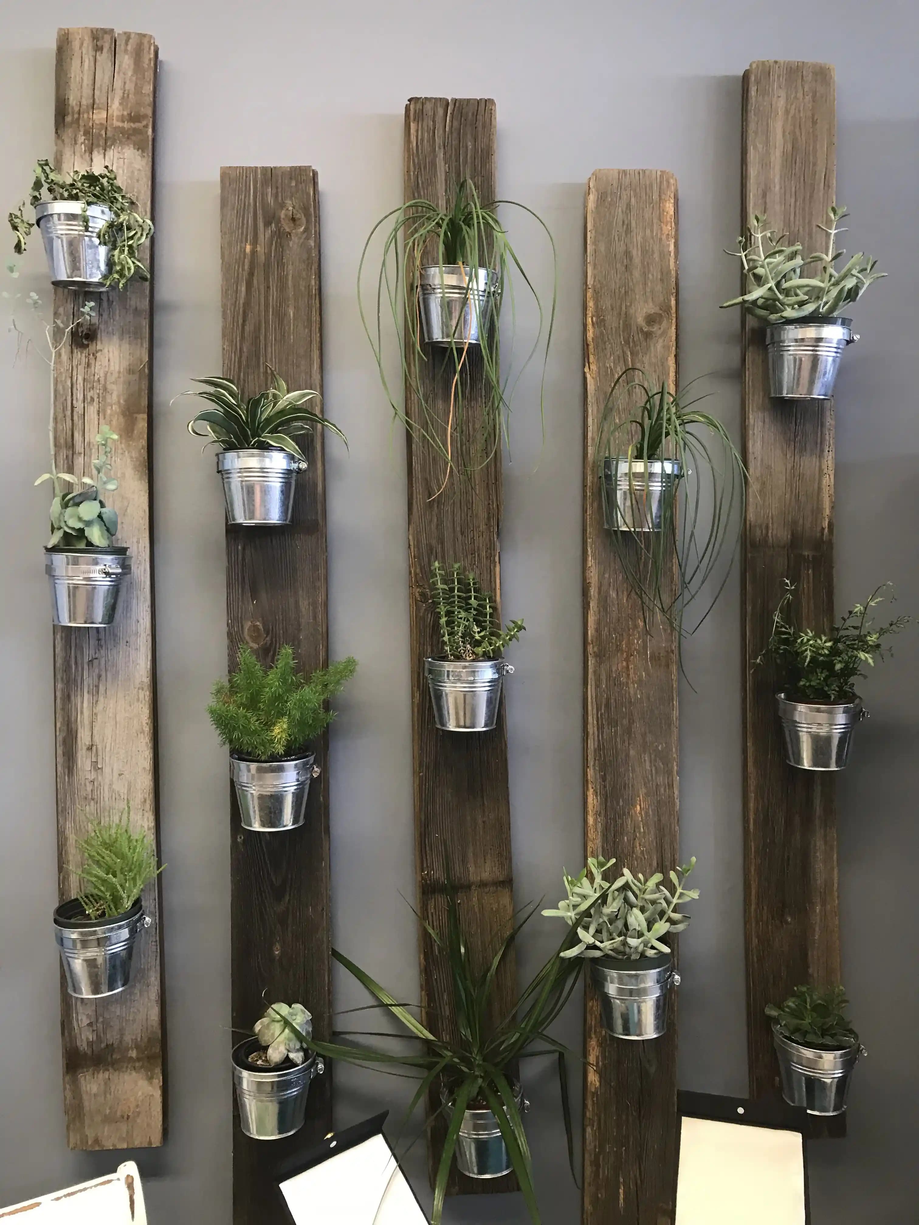 Bitki Duvar Saksı Rafları ile Mekanlarınıza Estetik ve Fonksiyonellik Katın