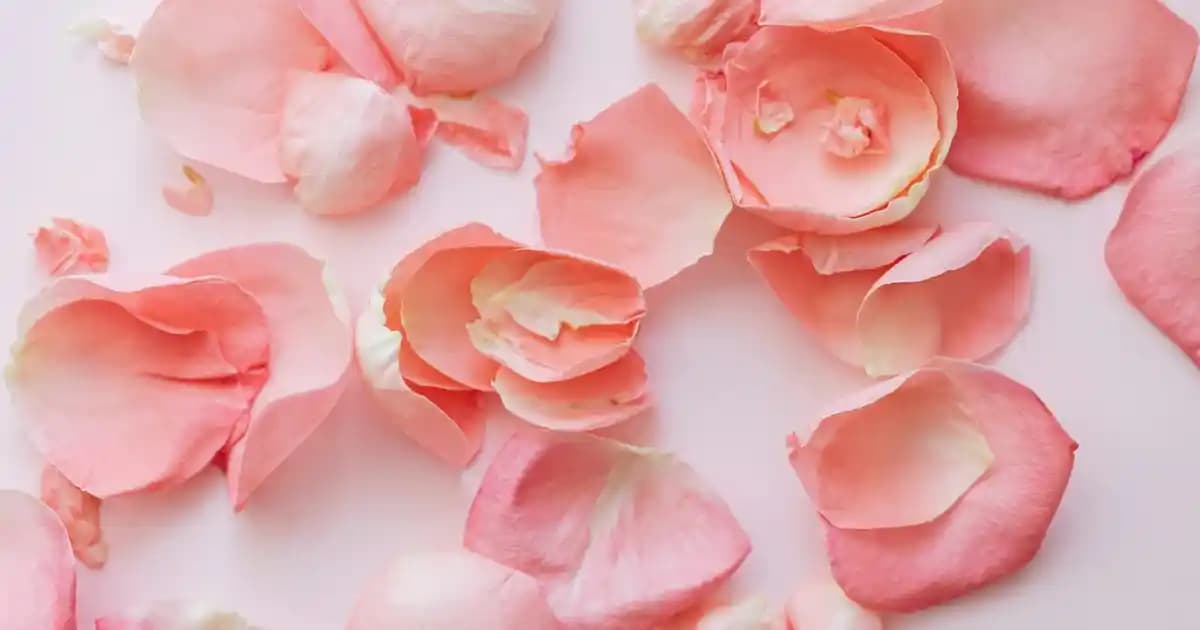 Cam Kullanımının Dekorasyon ve İç Mekan Tasarımındaki Modern Rolü ve Avantajları