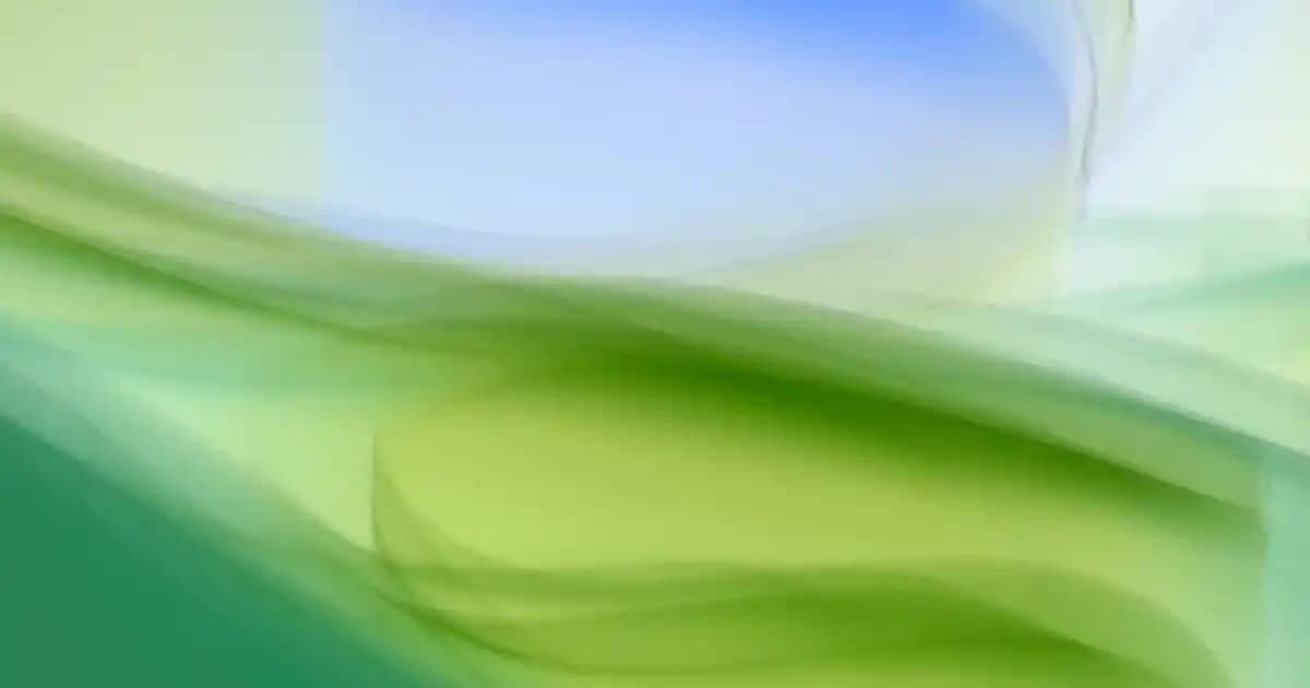 Cam Vazo Modelleri: Estetik ve Fonksiyonellik Sunan Çeşitler ve Dekorasyon İpuçları