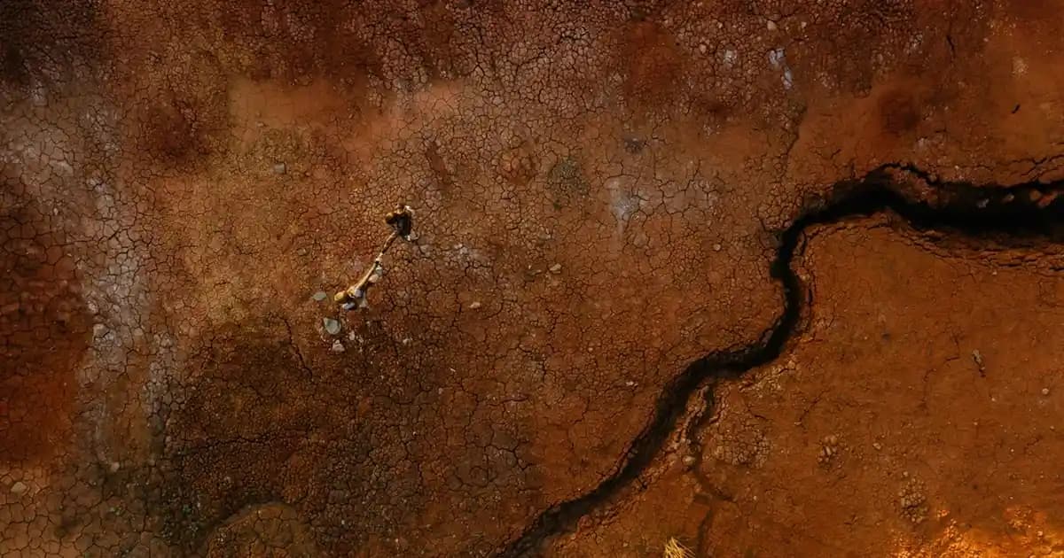 Ceviz Rafin Estetik ve Dayanıklılığıyla Modern İç Mekan Dekorasyonunda Öne Çıkıyor