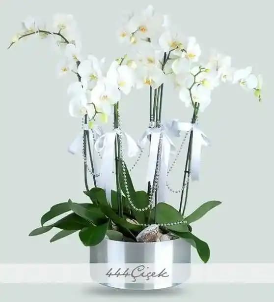 Çiçek Sepeti Dekorasyon Ürünleri ile Mekânlara Canlılık Katmanın Yolları