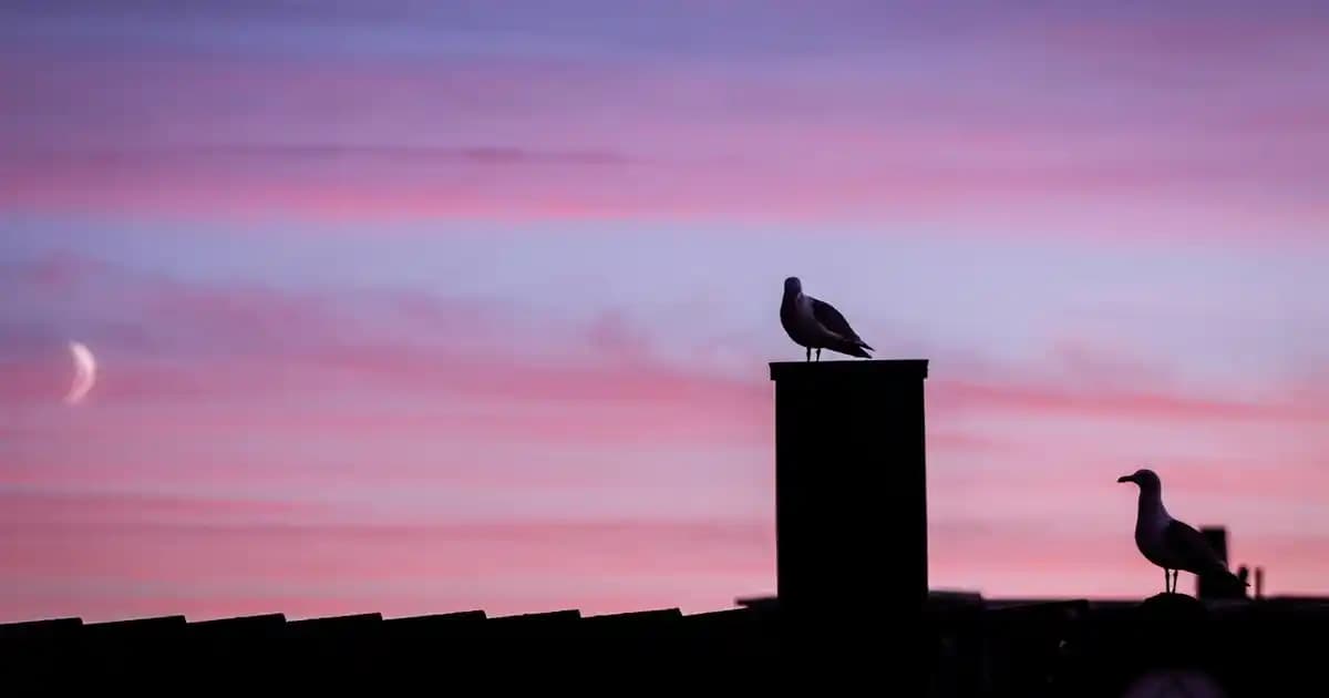 Çocuk Odası Dekorasyonunda Güvenli ve Estetik Klozet Kapağı Seçenekleri