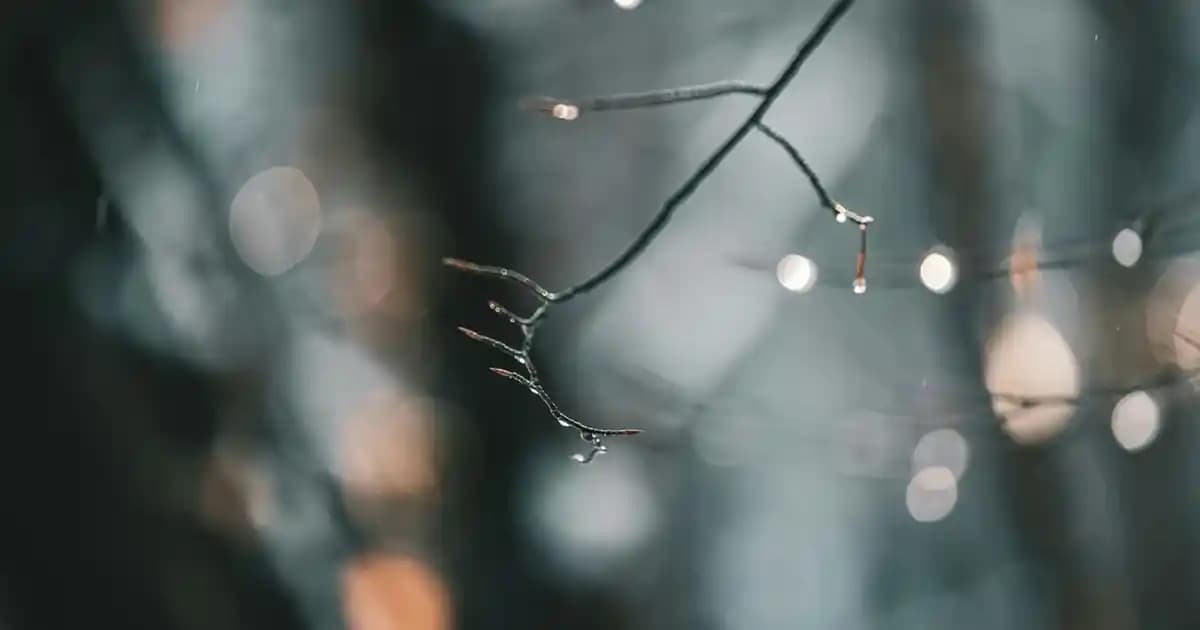 Dekorasyon Uyumunu Sağlayan Havlu ve Peçete Setleri: Malzeme, Tasarım ve Kullanım İpuçları