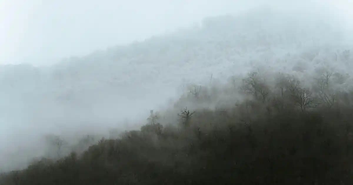 Dekorasyon ve Günlük Kullanım İçin Çay Fincanları Seçim ve Bakım Rehberi