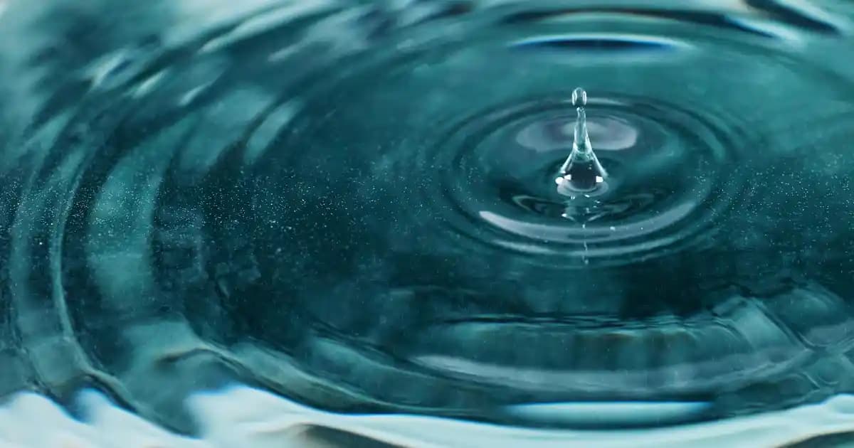 Dekoratif Ayaklı Peçetelikler: Estetik ve Fonksiyonellik ile Ev Dekorasyonunu Zenginleştirir