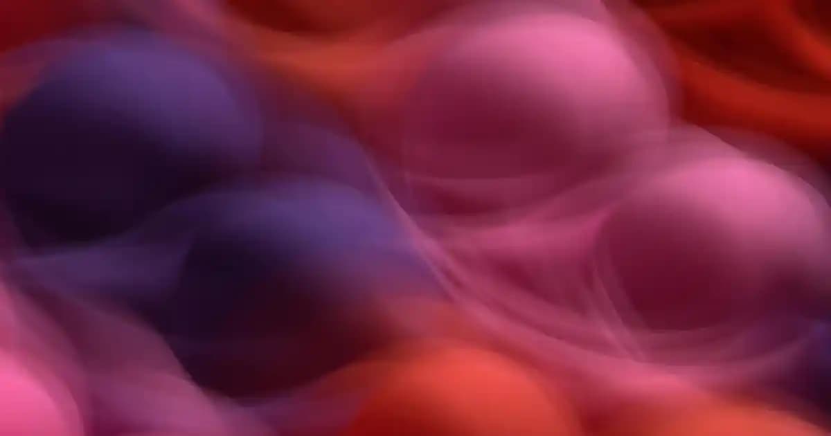 Dekoratif Bone Fincan Takımları: Estetik ve Fonksiyonel Tasarımlar