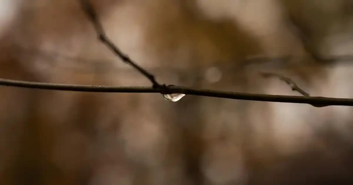 Dekoratif Cam Çay Bardağı Kulplarının Estetik ve İşlevselliği Üzerine Güncel Trendler ve Bakım İpuçları