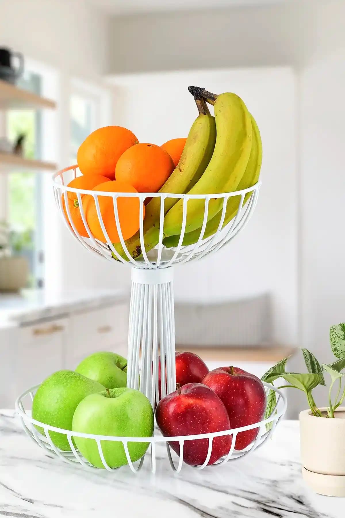 Dekoratif Meyvelikler: Bahçe ve İç Mekanlarda Estetik ve Fonksiyonel Çözümler