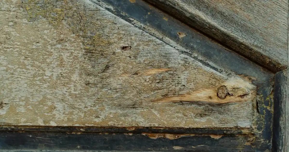 Dekoratif ve Fonksiyonel Kitaplık Seçenekleri: Tasarım ve Kullanımda Yenilikçi Yaklaşımlar