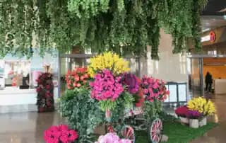 Doğal Çiçek Süslemeleriyle Mekan Tasarımı: Estetik ve Doğallığın Uyumlu Buluşması