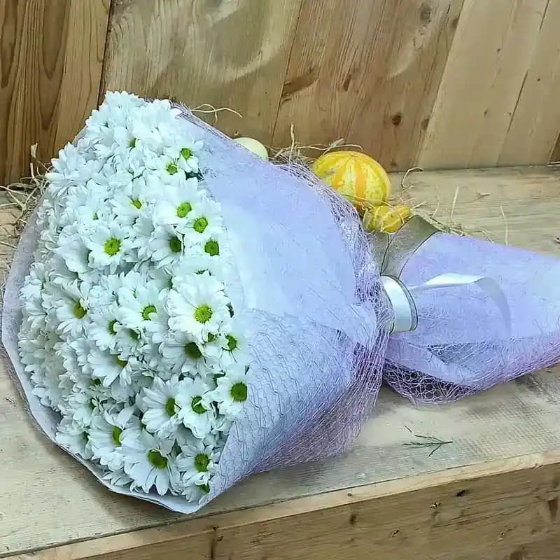 Doğal ve Şık Dekorasyon Çözümleri ile Sürdürülebilir ve Estetik İç Mekan Tasarımı