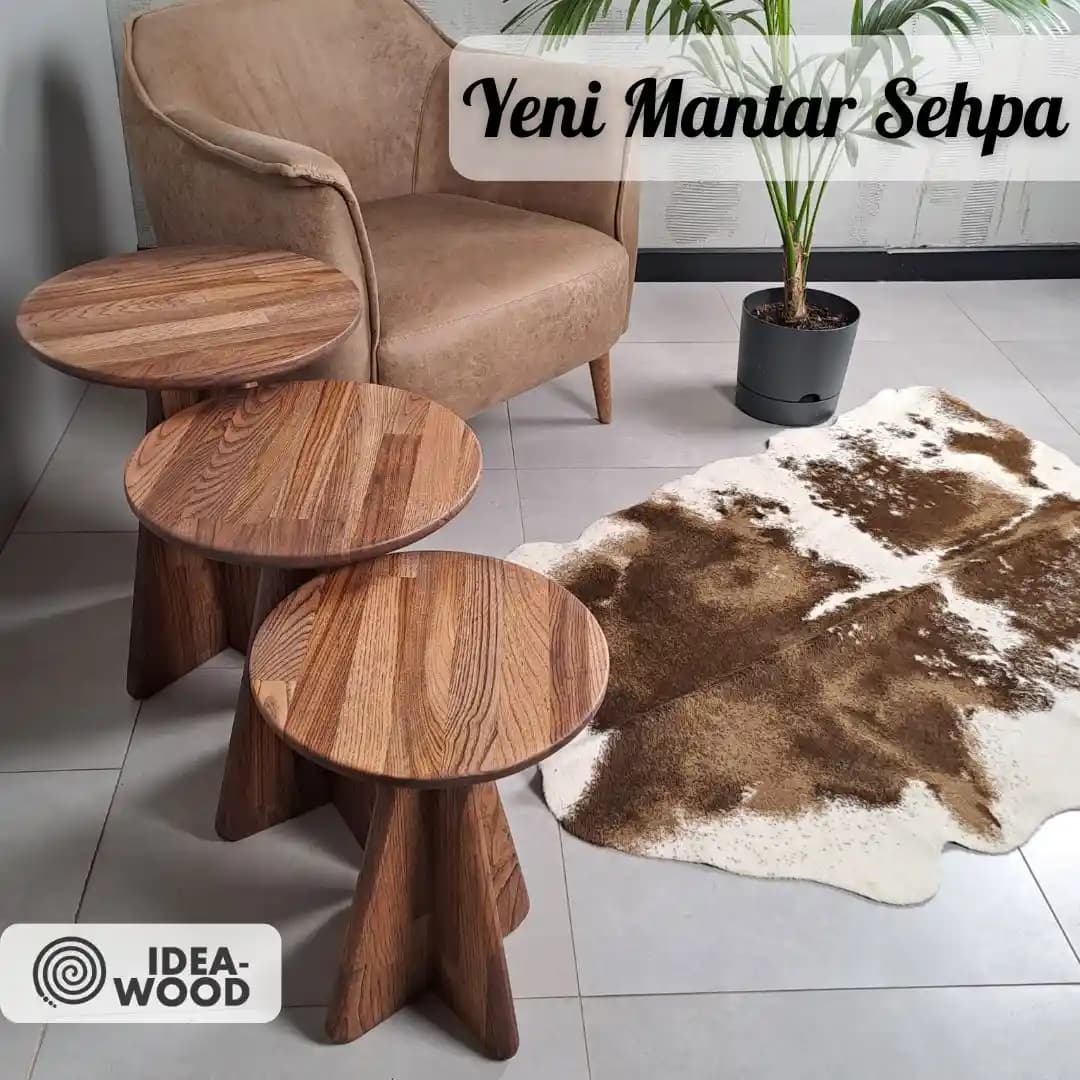 Doğal ve Şık Duvar Dekorasyonlarıyla İç Mekanlara Zarafet Katın