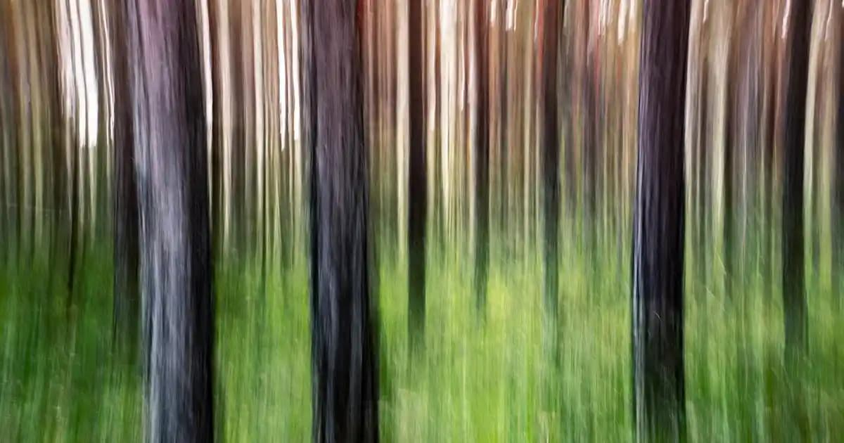 Erkekler İçin Konforlu ve Dekoratif Battaniye Seçenekleri 2023