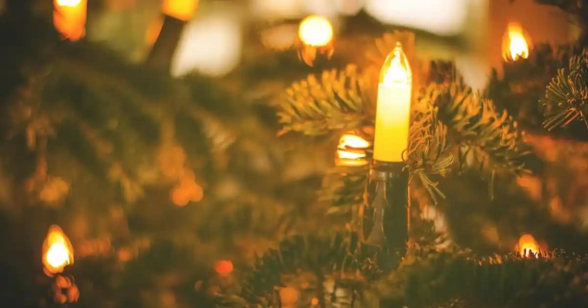 Ev Dekorasyonuna Uygun Büyük ve Fonksiyonel Vazolar: Seçim ve Trendler