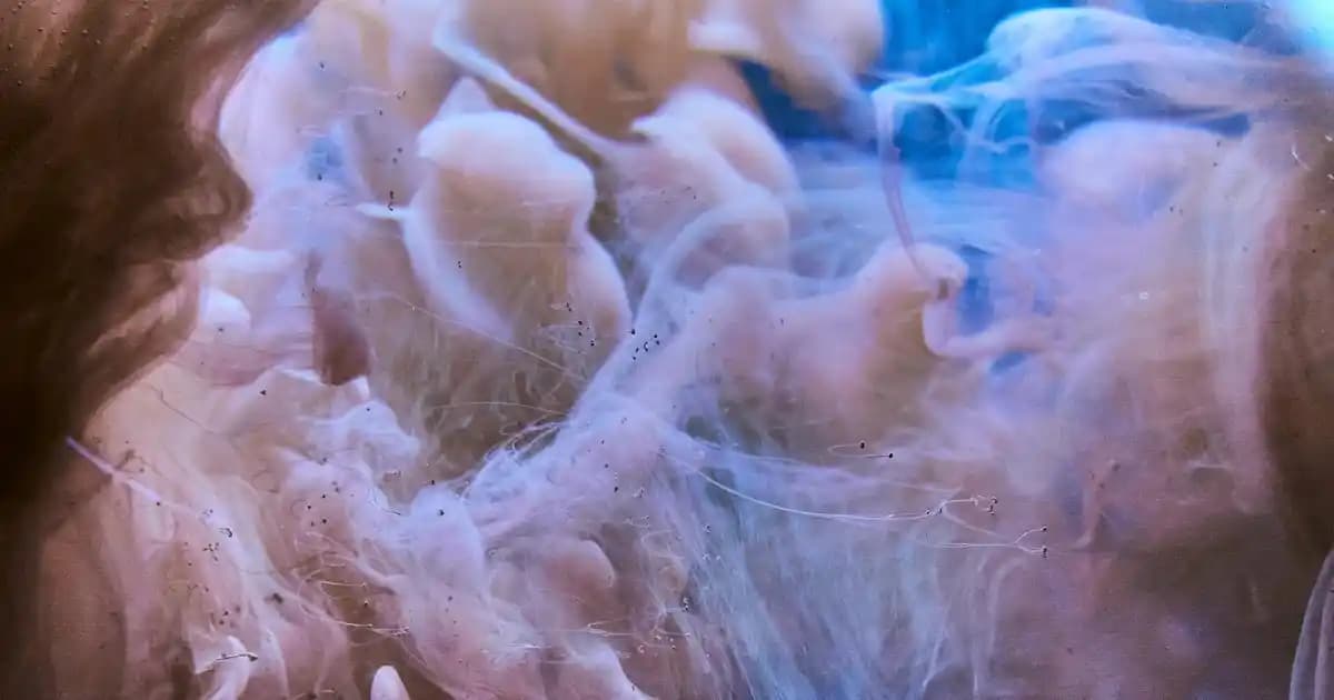 Ev Dekorasyonunda Kişisel ve Özgün Fikirlerle Mekânlarınızı Yenileyin