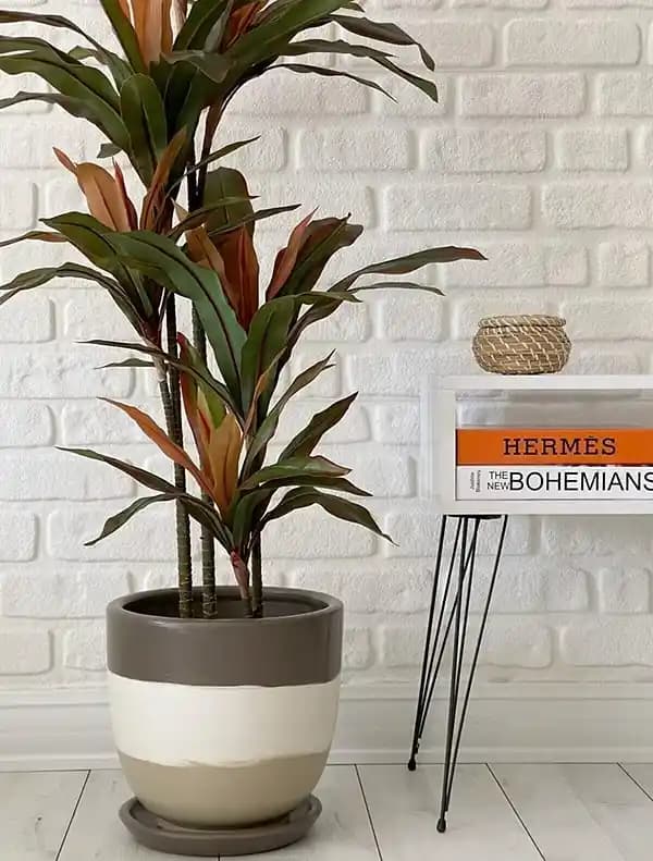 Ev Dekorasyonunu Güzelleştiren Vazolar ve Saksılar: Seçim ve Trendler