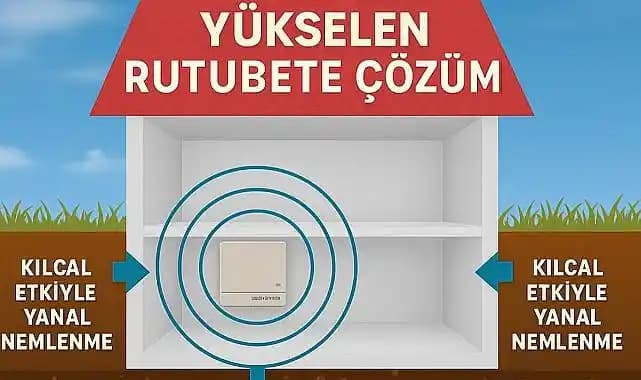 Ev Rutubet Sorunlarına Karşı Nem Alıcılar: Etkili Çözüm Yöntemleri ve Kullanım İpuçları