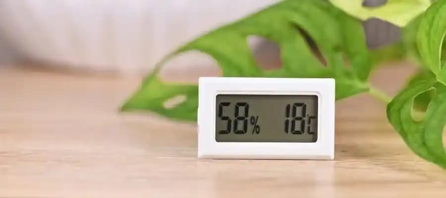 Evde Nem Kontrolü Yöntemleri ve Sağlık ile Yapı Koruma Stratejileri