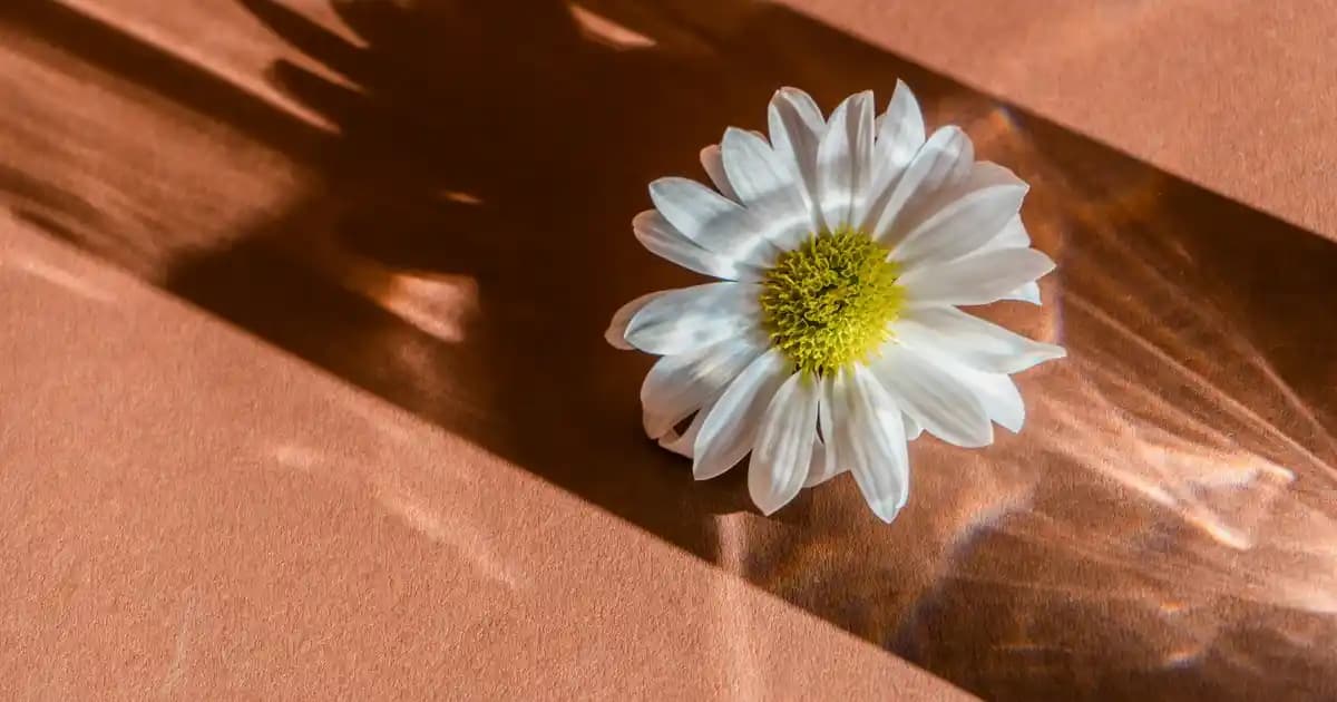 Farklı Duvar Saatleri ve Dekoratif Kullanım İpuçları İç Mekan Tasarımında