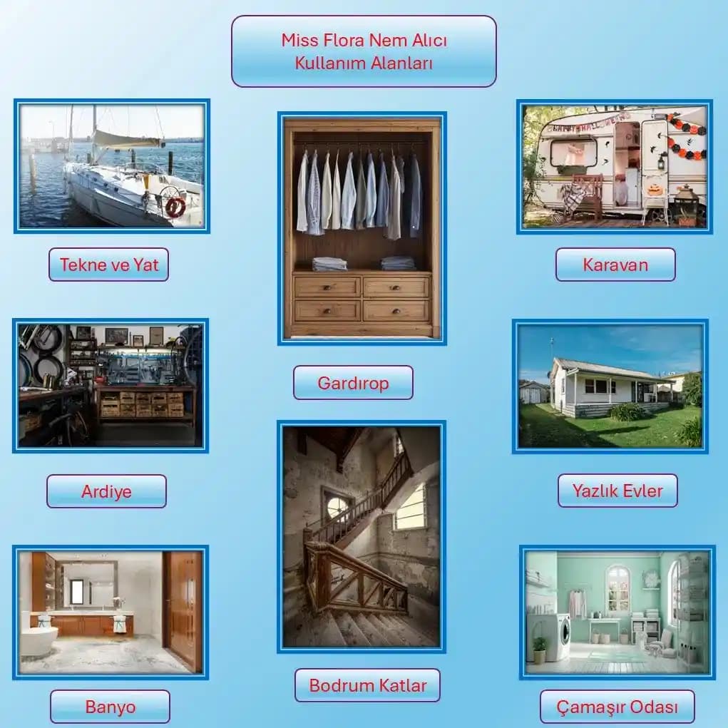 Flora Sabancı Nem Alıcı Modelleri ve Kullanım Alanları Hakkında Detaylı Bilgi