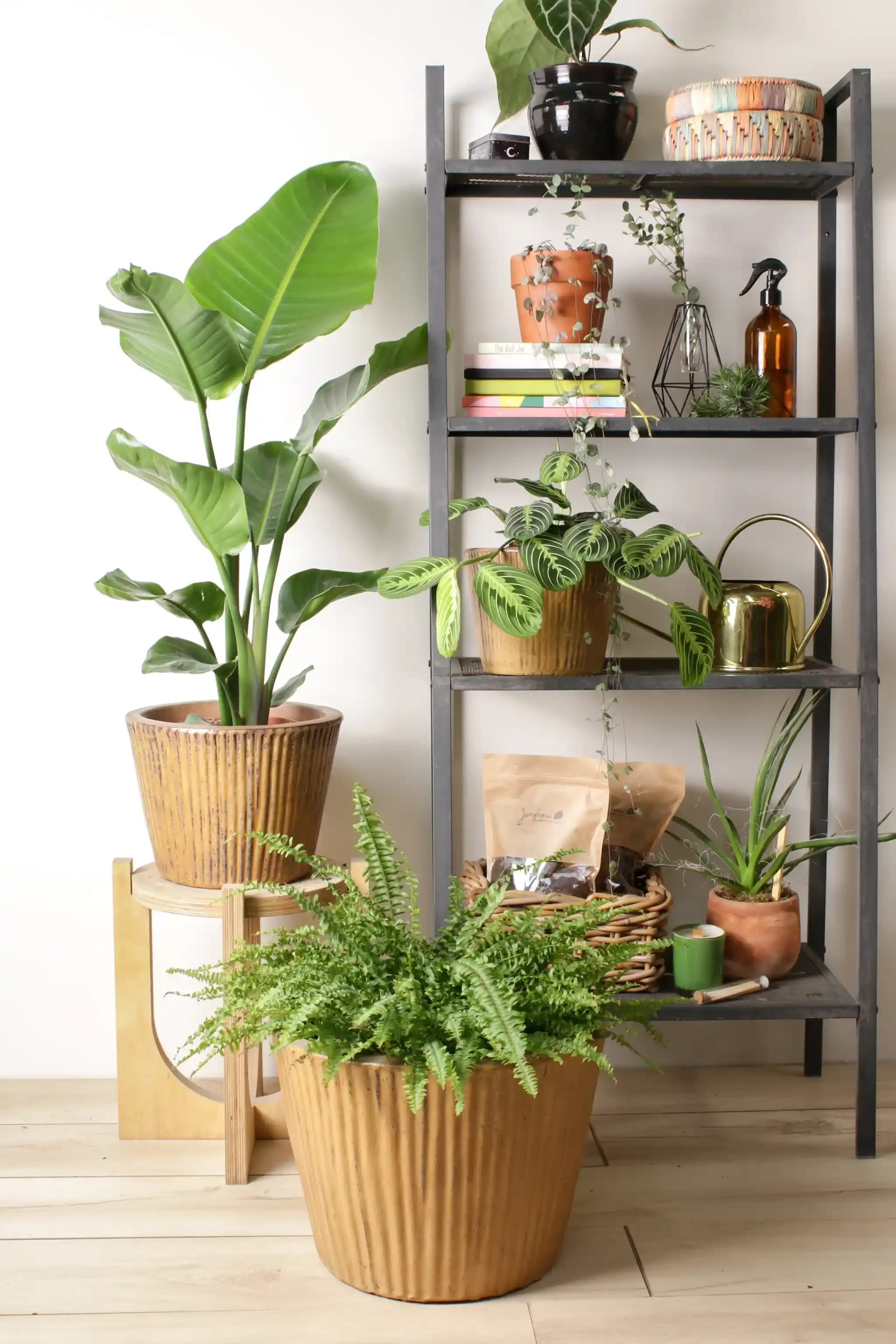 Fonksiyonel Saksı Altlıklarının Ev ve Dış Mekan Bitki Düzenlemesindeki Önemi ve Kullanım Faydaları