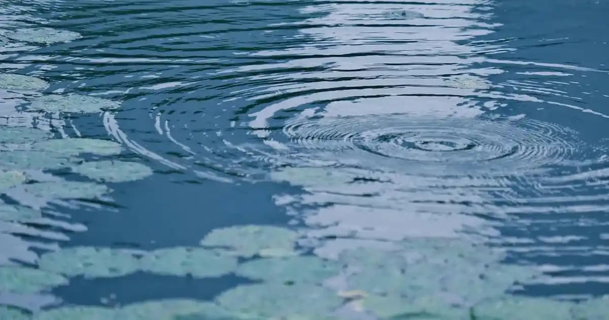 Hasır Dolap Modelleriyle Dekorasyonunuzu Yenileyin Modern ve Doğal Çözümler