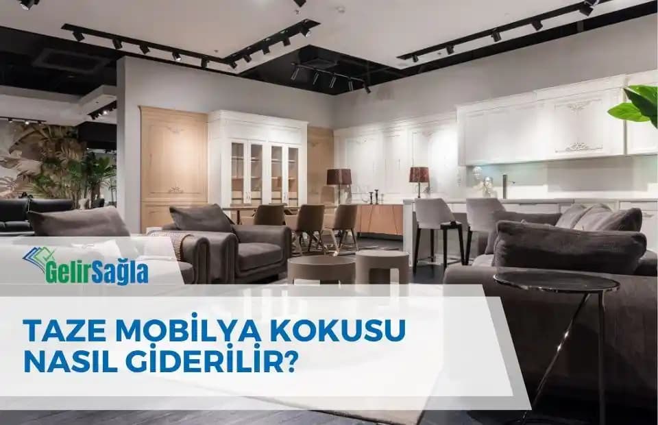 Houston'daki Meteor Çarpması Olayı ve Çevresel Etkileri Analizi