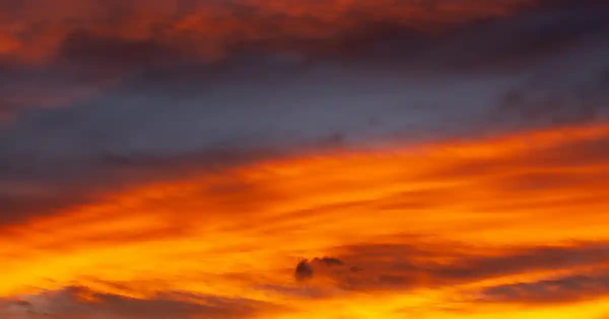 İkea Baharatlık Kavanozları: Mutfak Düzeninde Estetik ve Fonksiyonellik Sağlayan Çözümler