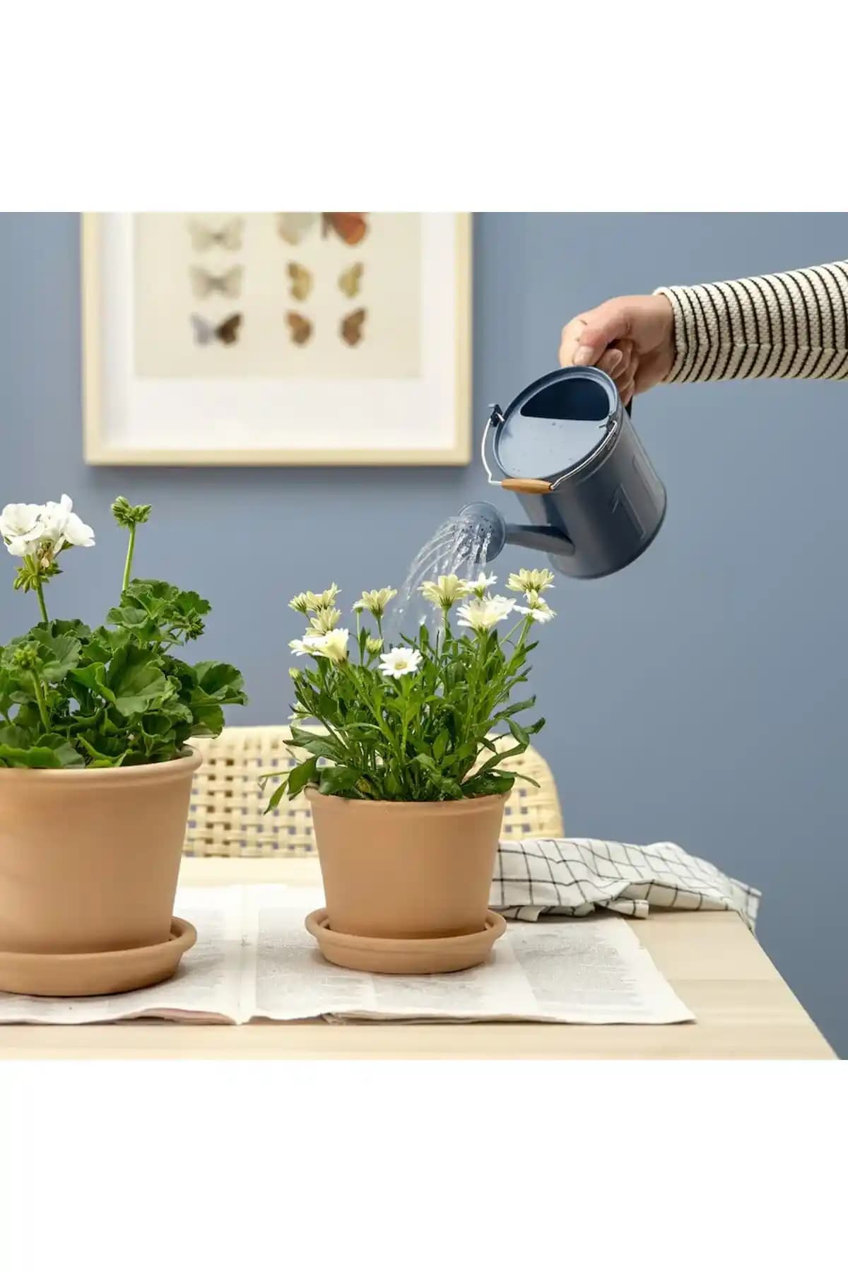 IKEA Çiçek Sulukları: Bahçe ve İç Mekanlar İçin Kullanışlı ve Estetik Sulama Çözümleri