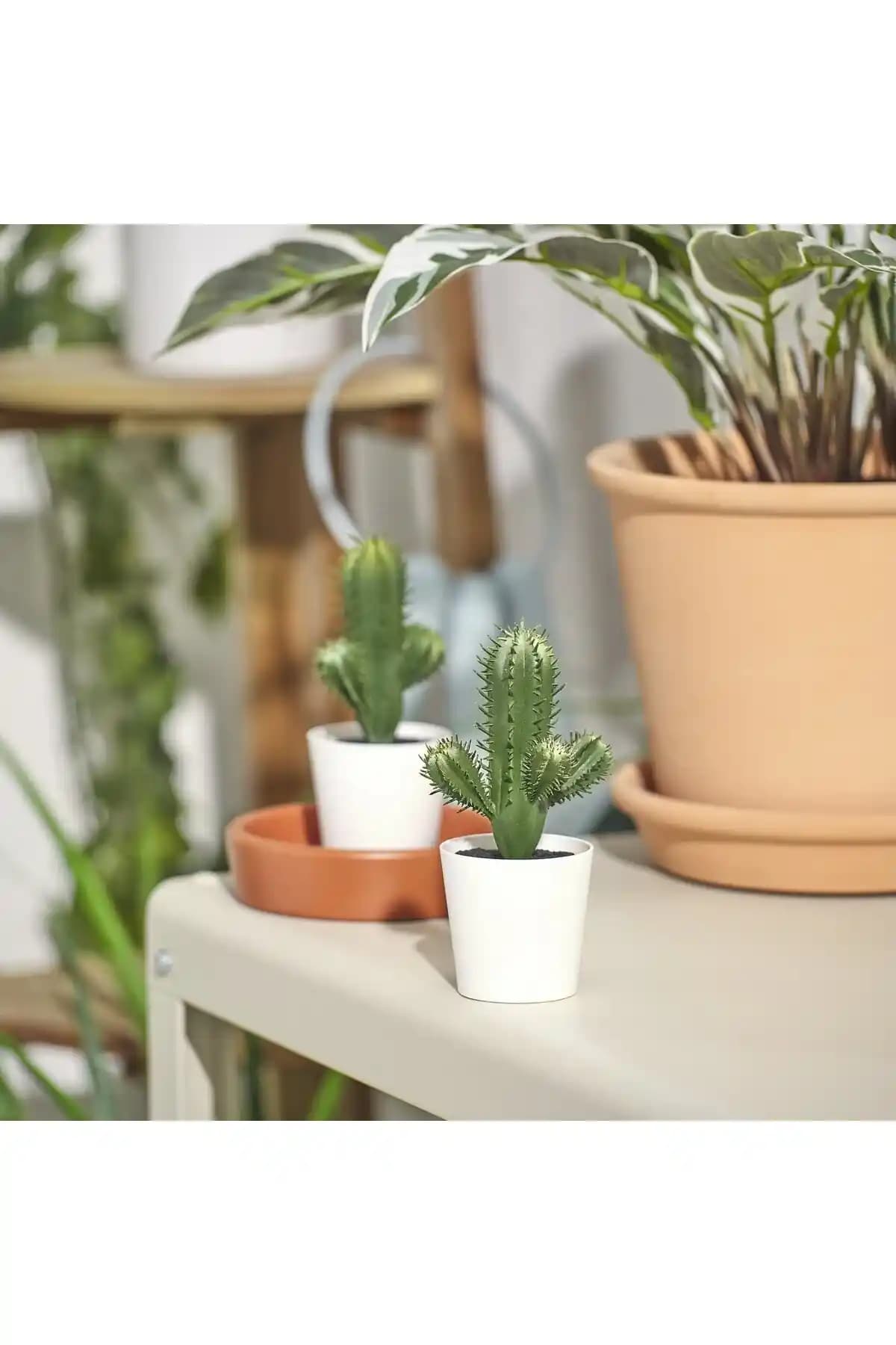 İKEA'da Yapay Kaktüsler: Bakımı Kolay ve Estetik İç Mekan Dekorasyonu Seçenekleri