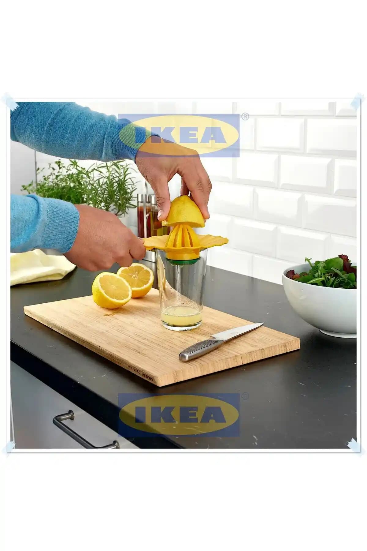 İkea ve Limon Ağacı: İç Mekan Dekorasyonunda Doğal ve Fonksiyonel Kullanım İpuçları