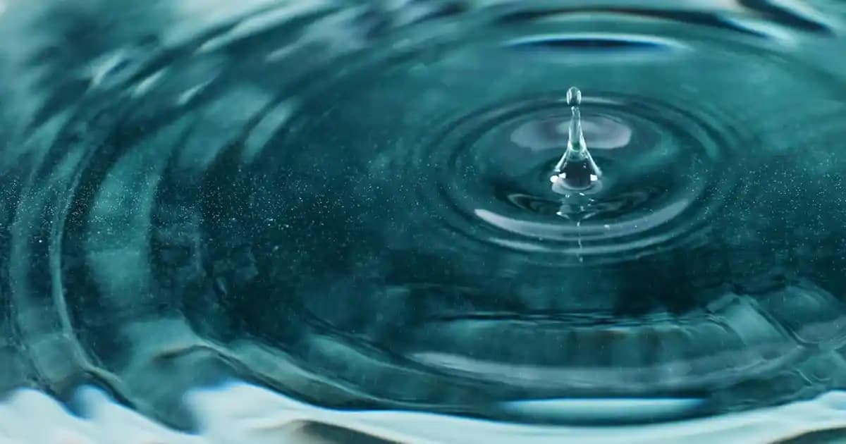 İngilizce Ev Bardak Setleri: Malzeme, Tasarım ve Kullanım İpuçlarıyla Uygun Seçenekler