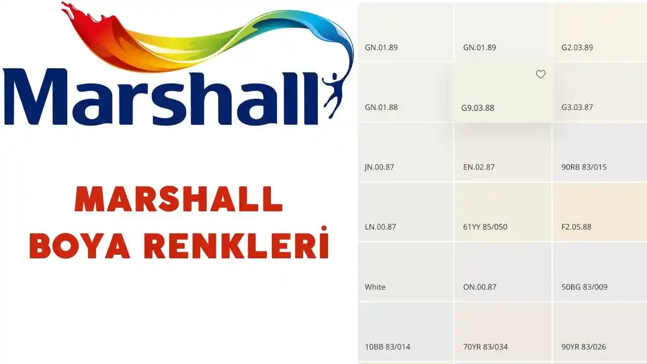 İnşaat ve Dekorasyonda Boya Seçimi ve Uygulama İpuçları