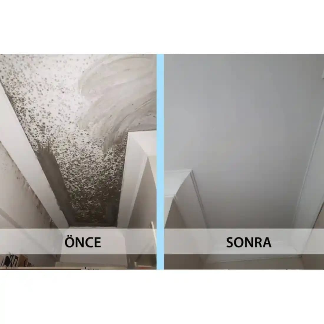 İnşaatta Rutubet ve Nem Alıcıların Seçimi ve Kullanımında Güncel Yaklaşımlar