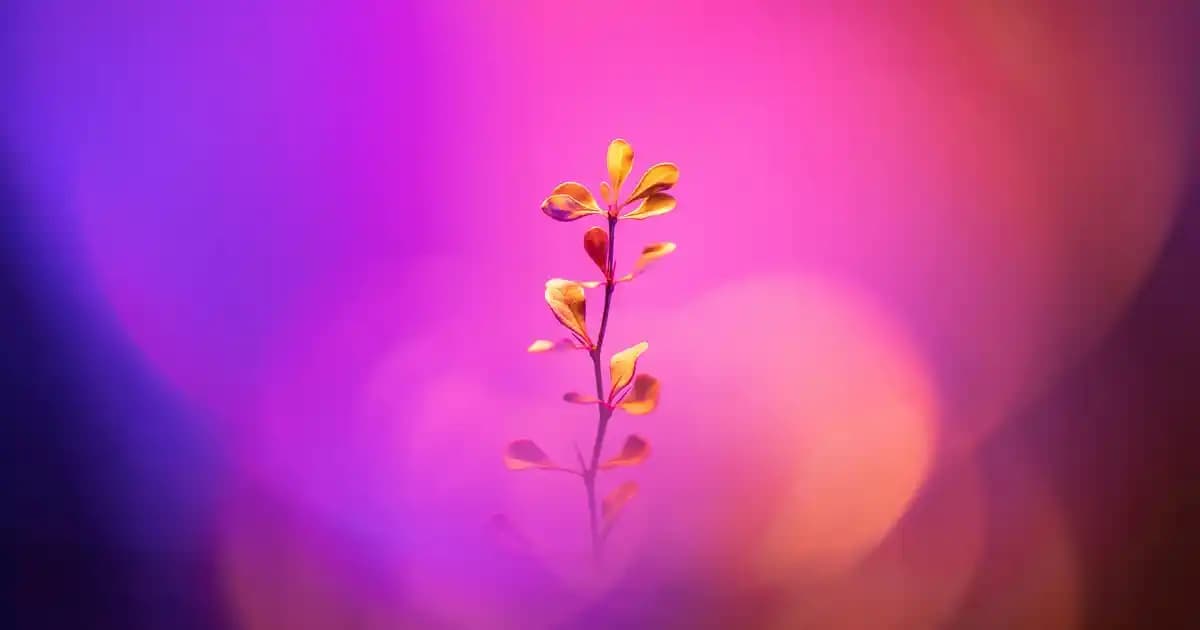 İşlevsel ve Dekoratif Yer Karoları Seçimi: Malzeme, Tasarım ve Uygulama İpuçları