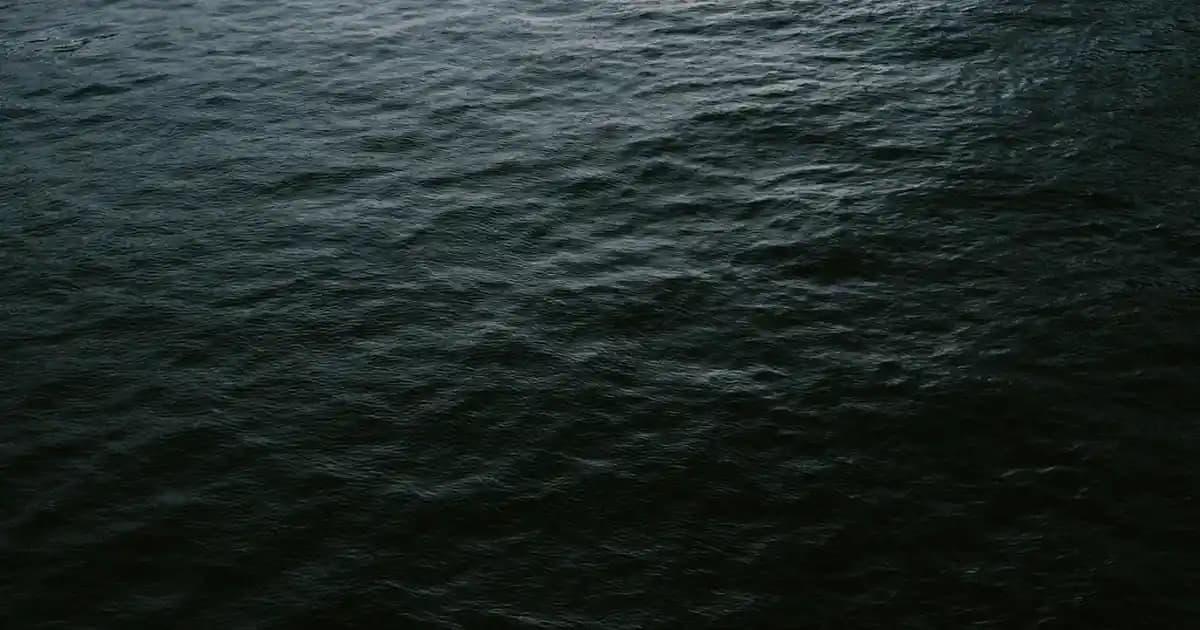 Kalıcı Şıklık ve Sonsuz Aşk Temalı Dekorasyon Rehberi: Estetik ve Dayanıklılık İlkeleri