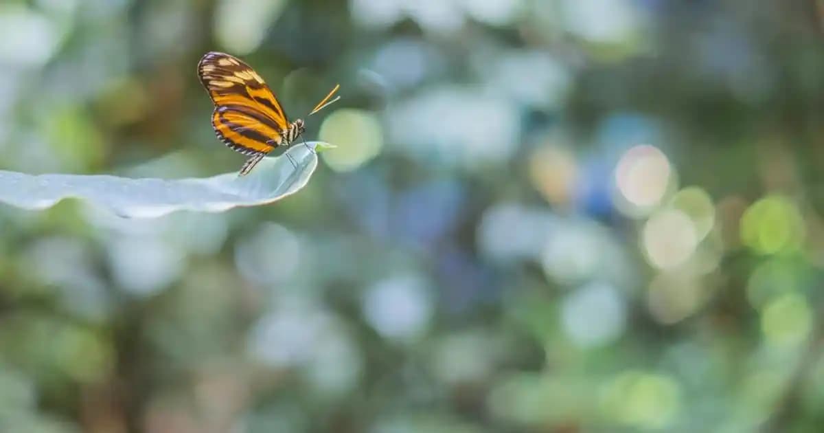 Küçük Evler İçin Modern Fonksiyonel Ranza Tasarımları ve Alan Verimliliği