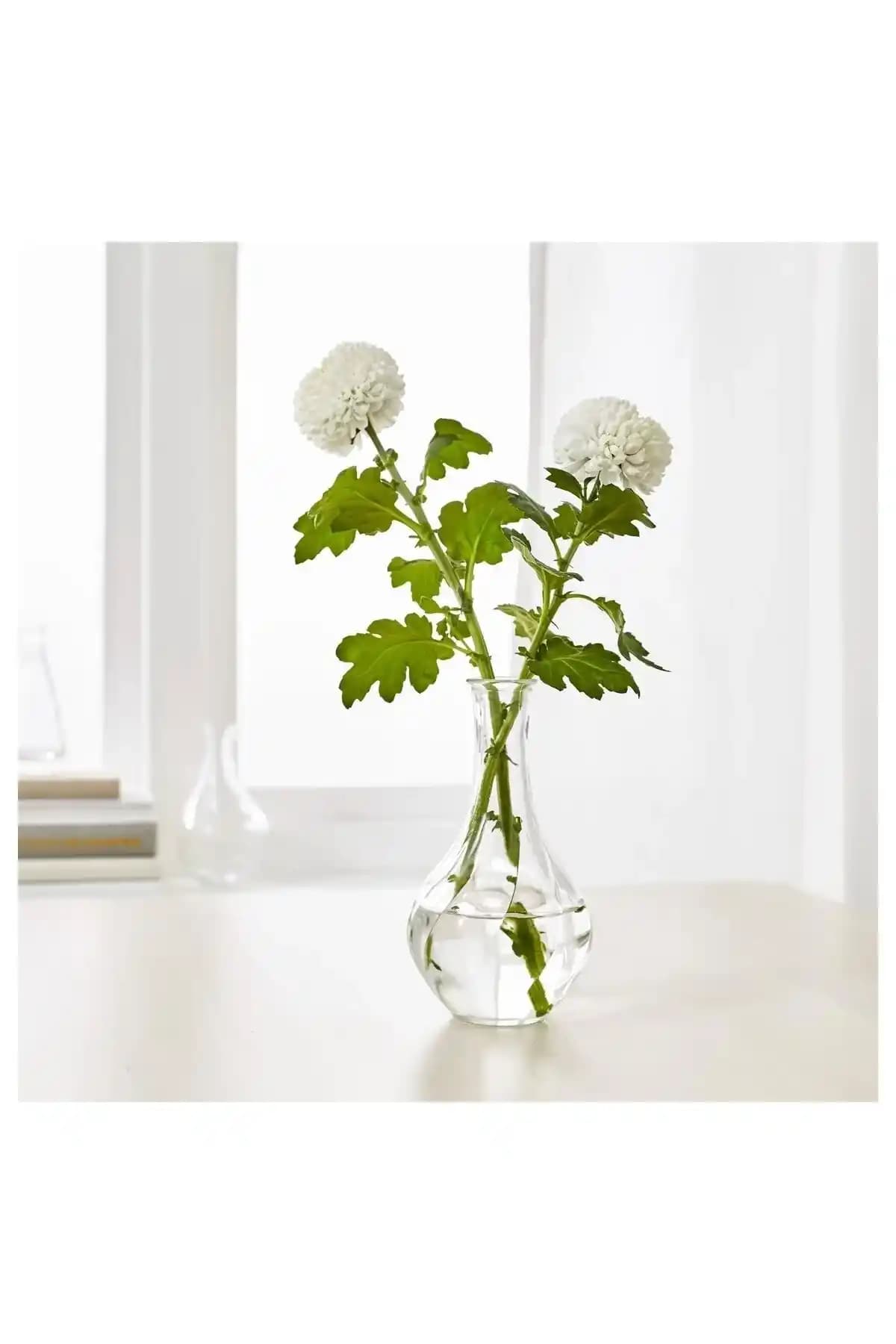 Küçük Vazolarla Dekorasyon: Seçim ve Kullanım İpuçlarıyla Estetik Dokunuşlar