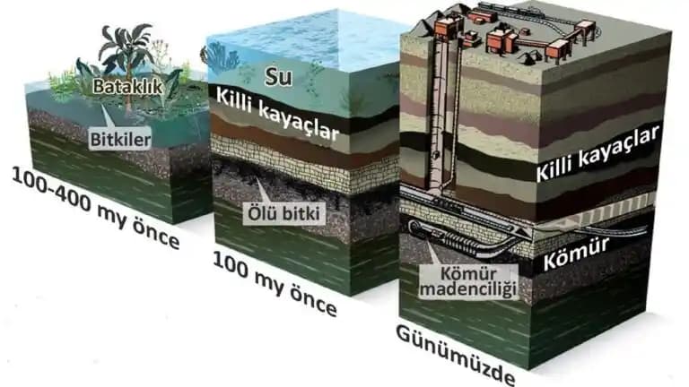 Lider Kömür Kullanımında Performansı Artırmaya Yönelik Tavsiyeler ve Uygulama Prensipleri