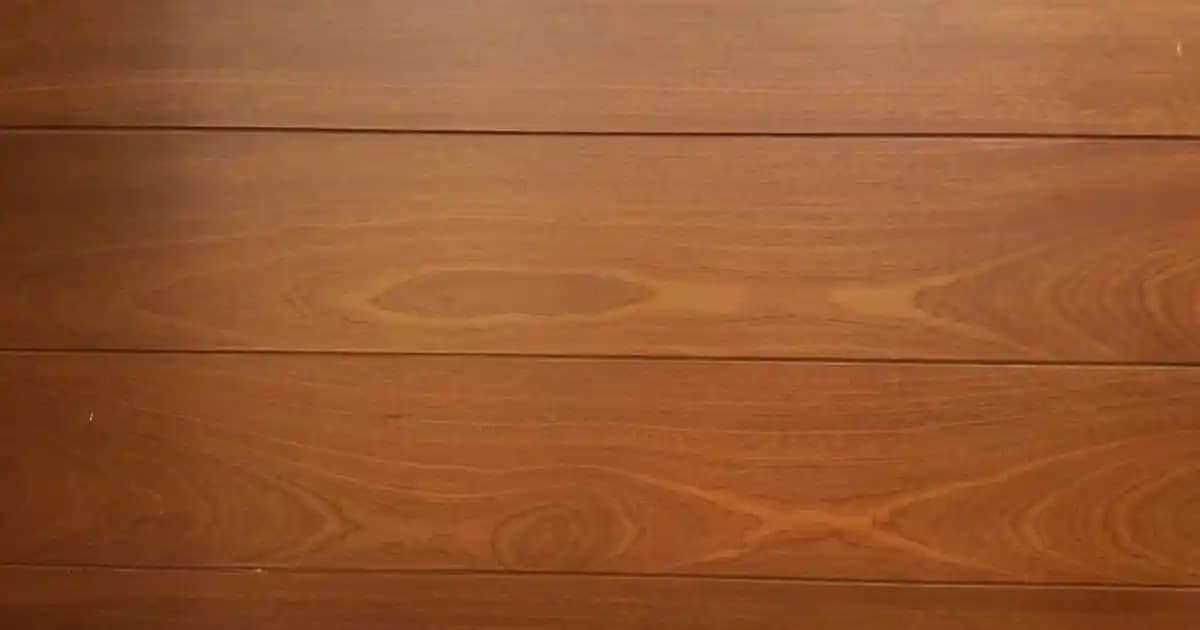 Melamin Kek Fanusu Dayanıklılığı ve Bakım Yöntemleri İle Uzun Ömürlü Kullanım Rehberi